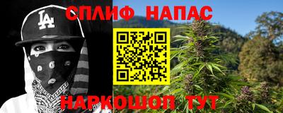 гидра Малгобек